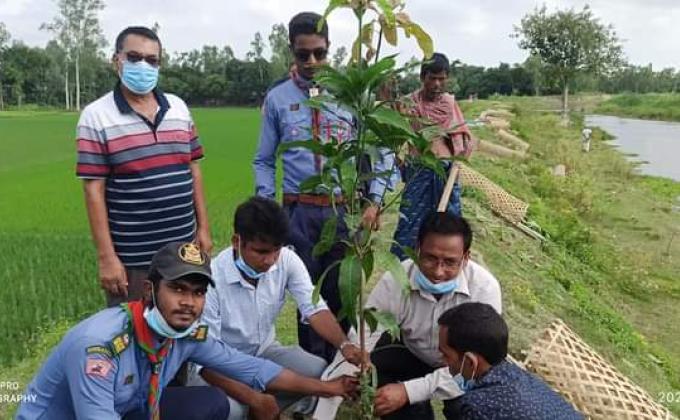 Tree Plantation Program