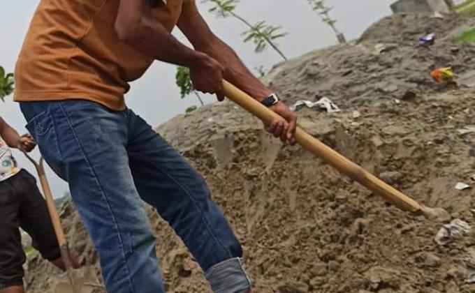 renovating the garden with full vigor