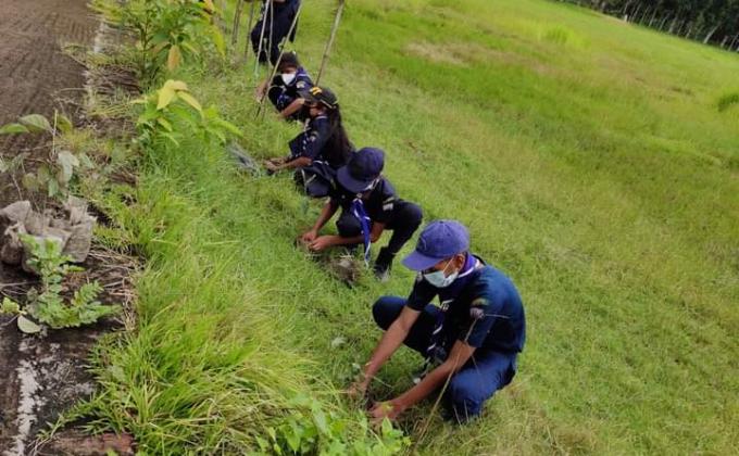 মংলা জেলা নৌ স্কাউটসের বৃক্ষ রোপণ কর্মসূচি 