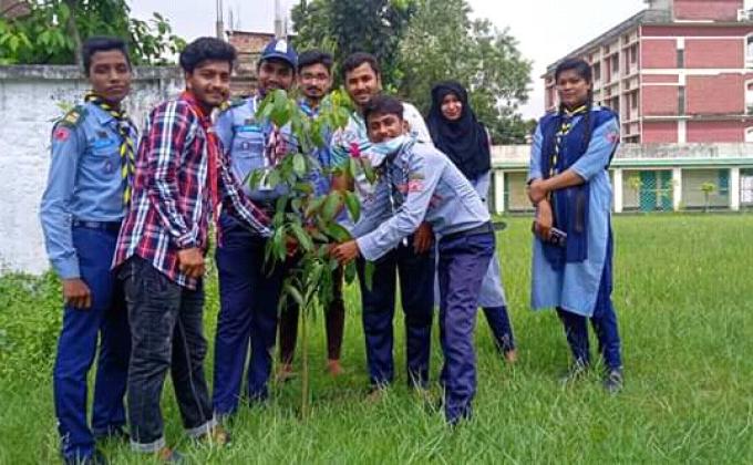 Tree  Plantation