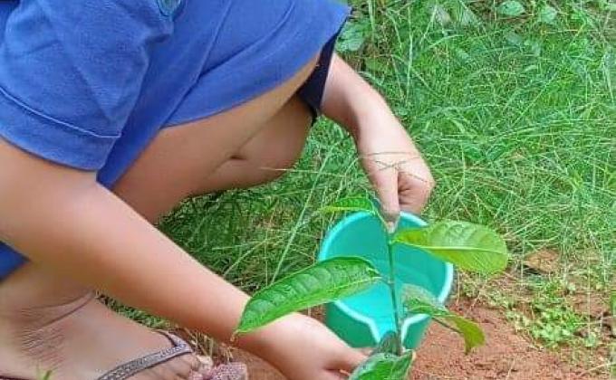 Plant a Tree plant a hope#9