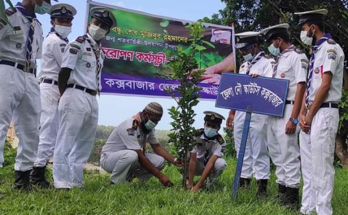 বৃক্ষরোপন কর্মসূচি