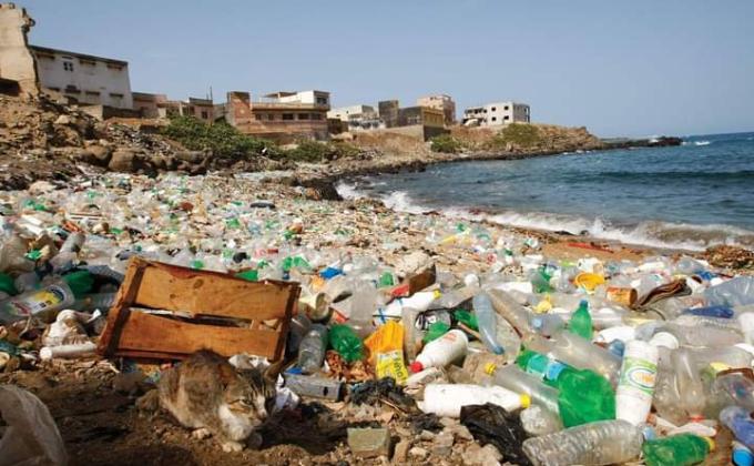 PTTCB কার্যক্রম