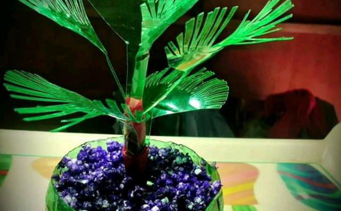 ★Step : 01★ plastic tide turners challenge badge 