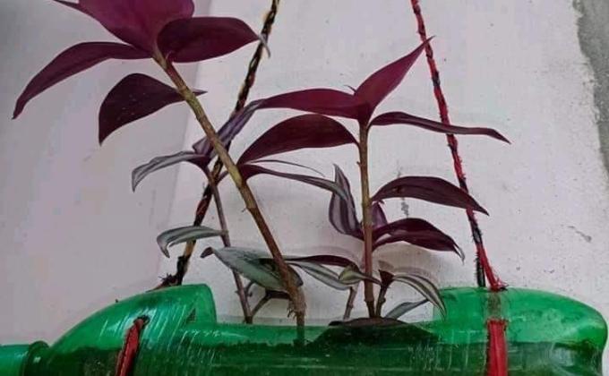 প্লাস্টিক দিয়ে কারুকাজ 