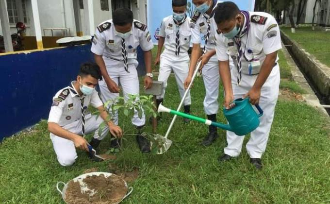 বৃক্ষরোপণ অভিযান - ২০২০