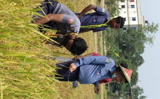  ধান কাটা কর্মসূচি 