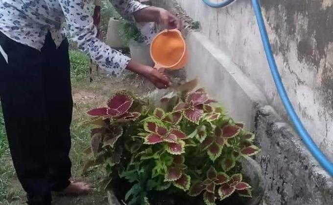 Plantation & Watering