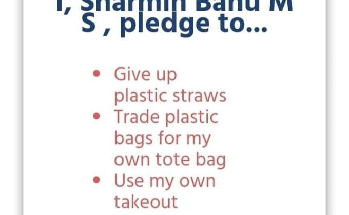 "LEARN THROUGH FUN-:Entry Level : Tide Turner's Plastic Challenge Badge (OFFLINE)  :BSG KARNATAKA _District Association Udupi. India. "