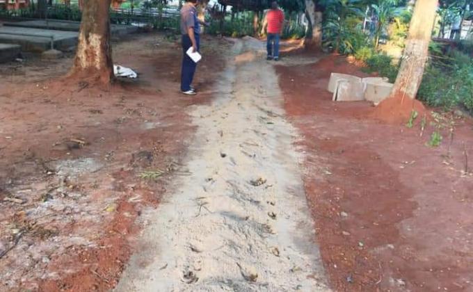 Rainwater harvesting 