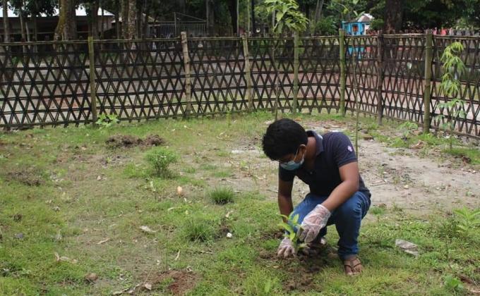 Tree plantation to reduce climate change 