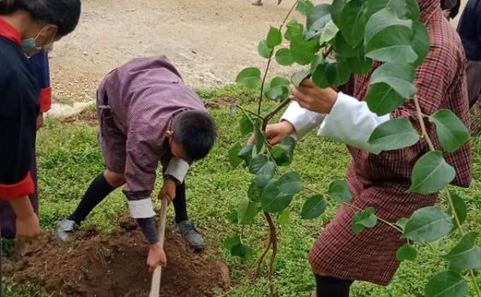 My contribution to combate Climate change during Environment week 