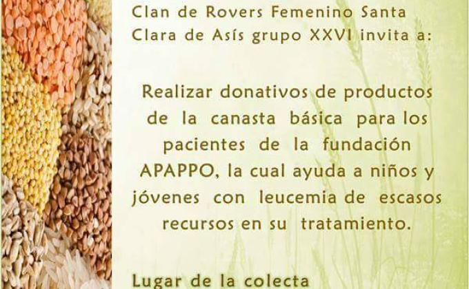 unidos por la leucemia