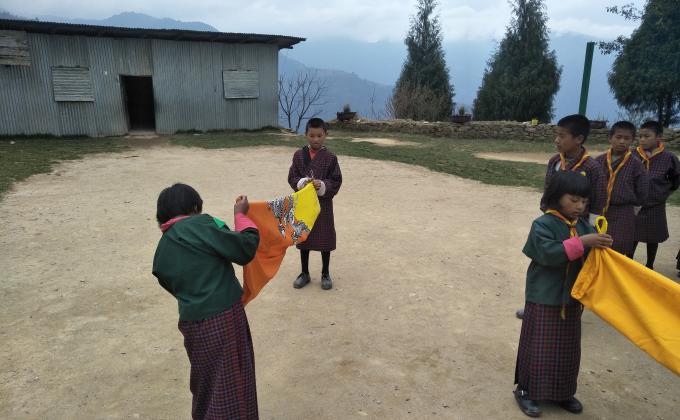 Educating on Flag Protocol