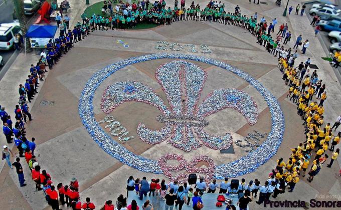 Flor de lis de latas Provincia Sonora 2015