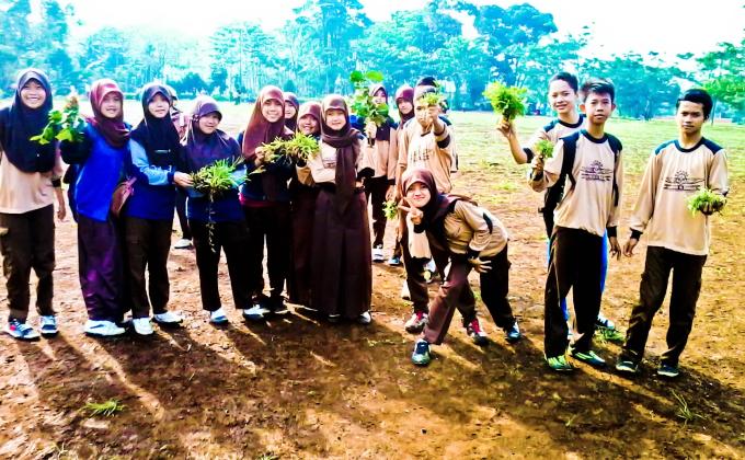 Planting Grass on the Field