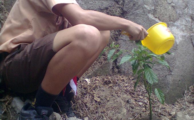 Scout of Indonesia in Badung Regency planting a bamboo