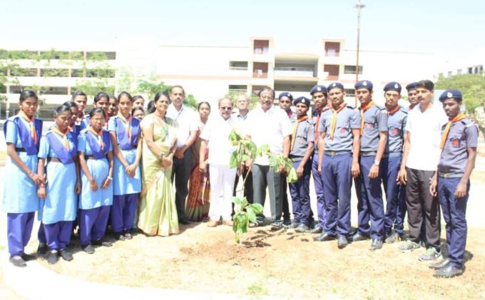 Planting trees