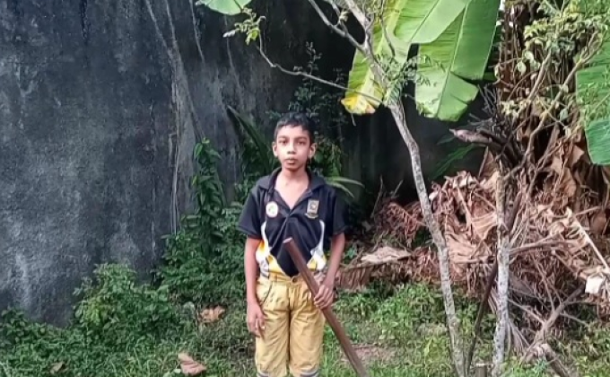 Gardening fruits & vegetables in my garden