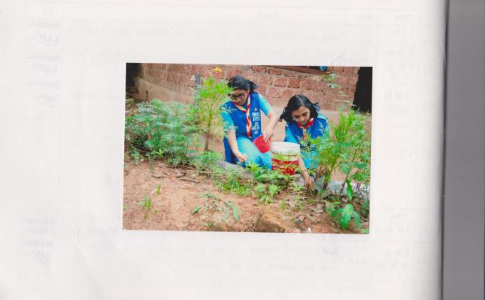 GARDENING