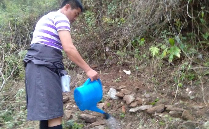 Community Greening Activity