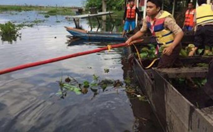 selamatkan rawa pening