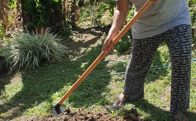 HOME GARDENING SHAPES FUTURE 