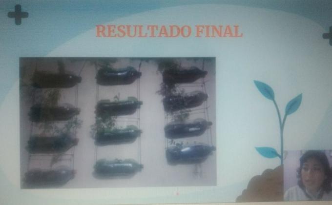 Proyecto comunitario "Huertos hidroponicos y terrarios" Paul Loewe 