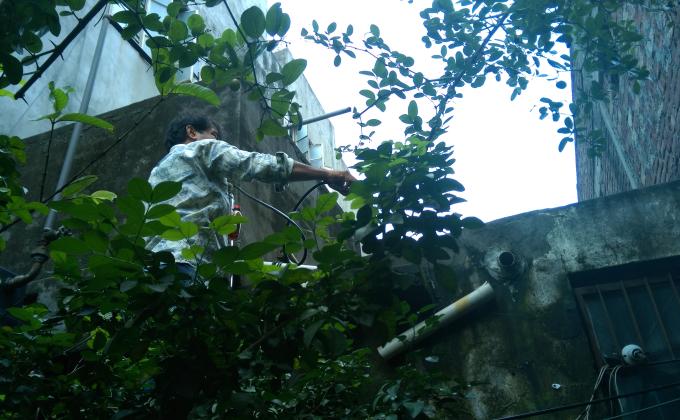 Introduction to Messengers of Peace