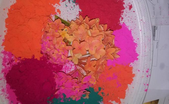 Festival of Colors...Spreading Peace in a Multicultural Society 