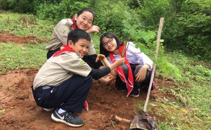 GrowMoreTrees, KeepTaunggyiClean