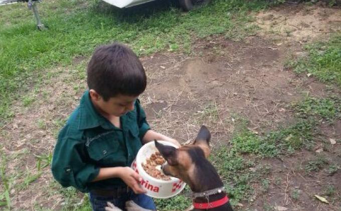 Ayudando en el hogar de animales abandonados de San Pedro Sula 