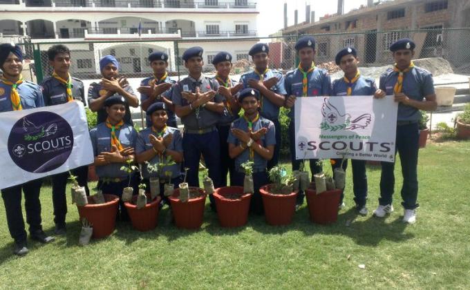 Tree Plantation Program