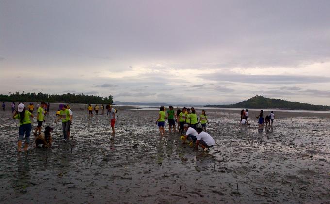 Mangrove Planting