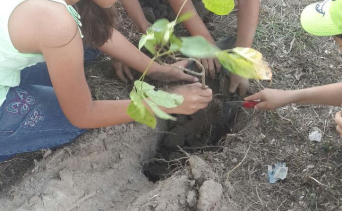Día del árbol - Árboles para el Mundo