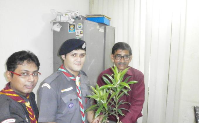 FREE SAPLING DISTRIBUTION 2015