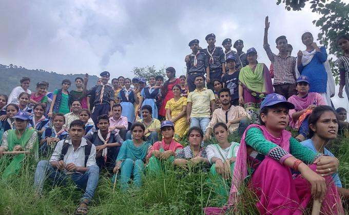 tree plantation