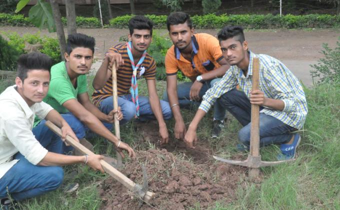 Tree plantation