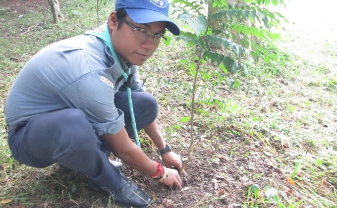 Tree Plantation camp 