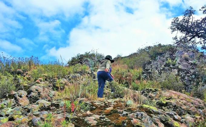 Salvemos juntos al Phryno y a la Lampro de Jilotepec Edo.Mex.