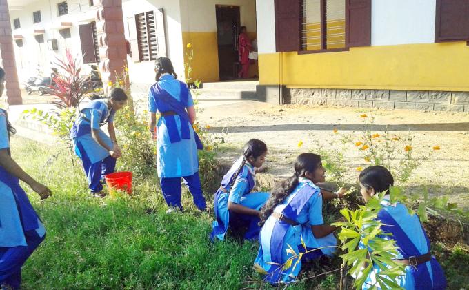 /KSBSG "Preservation of greenary 36 hours service project"