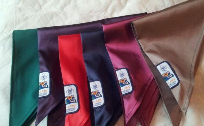 Bharat Scouts and Guides, Kingdom of Saudi Arabia - Camporee 2015