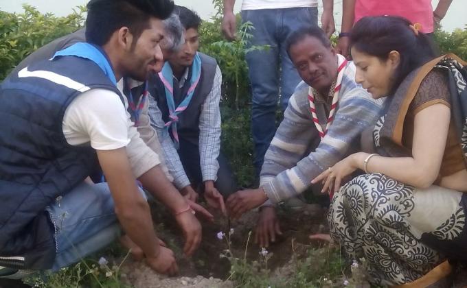 Tree Plantation on Sparrow Day