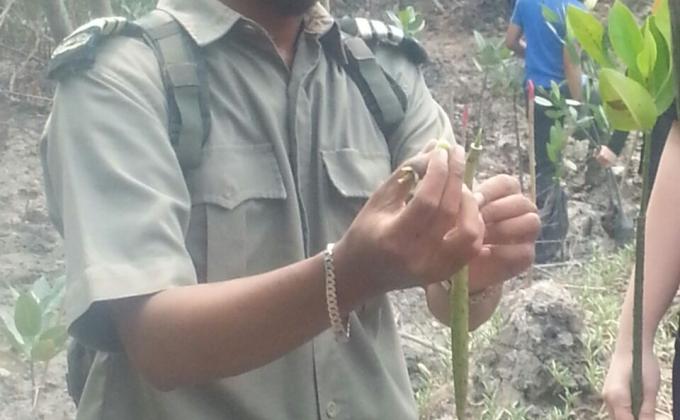 Nurturing Nature for Future