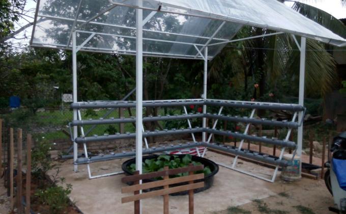 CHECKING SHELTER AND PLANTS MONITORING PROGRESS ( SWA UPDATE 10)
