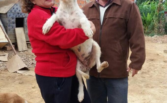 BUSCANDO HOGAR PARA PERLA