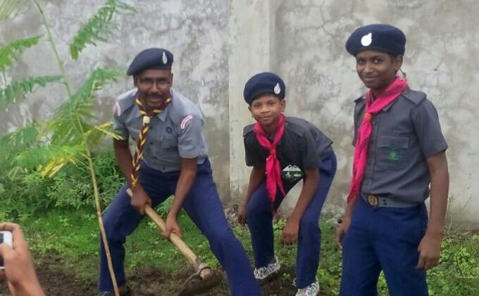 Tree planting