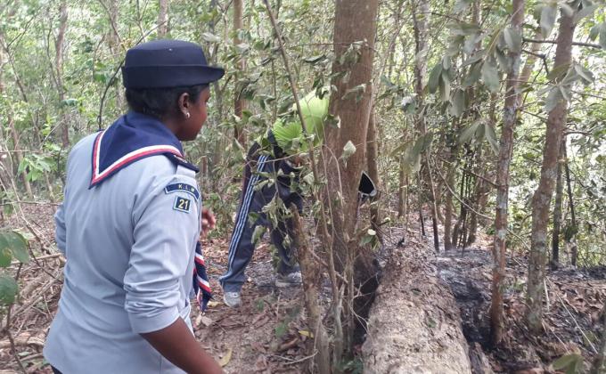 MINGGU 7( KAWAD DAN MEMBUAT RUMAH SEMENTARA)