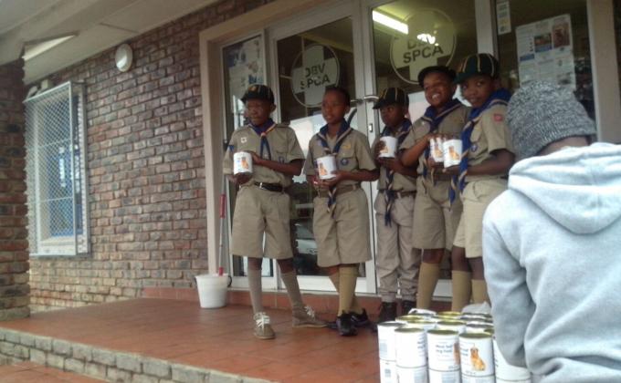 A Scout is a friend to animals