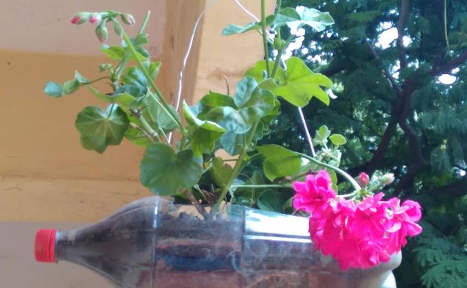 Bottle gardening at SHQ, Karnataka.